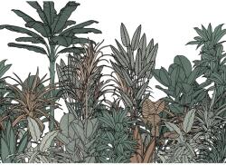 Komar vlies fotótapéta Doodle Plants Color 350 cm x 250 cm