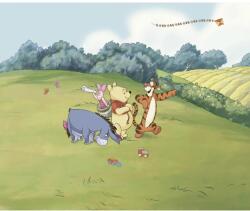 Komar nemszőtt fotótapéta Disney Winnie the Pooh Adventure színes