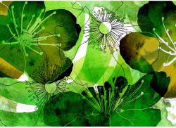 Komar fotótapéta gyapjú akvarell 350 cm x 250 cm