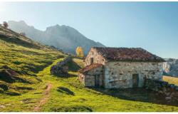 Komar Vlies fotótapéta Picos de Europe Alm 450 cm x 280 cm