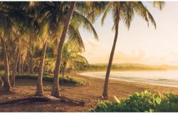 Komar vlies fotótapéta Golden Lands 400 cm x 250 cm