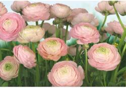 Komar fotótapéta Gentle Rose 368 cm x 254 cm FSC