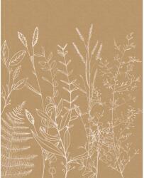 Komar vlies fotótapéta Herbs Garden 200 cm x 250 cm