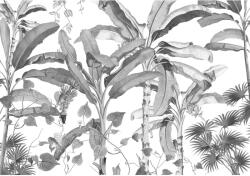 Komar vlies fotótapéta Croissances Monochrome 400 cm x 280 cm