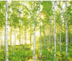 Komar vlies fotótapéta Sunday 300 cm x 250 cm