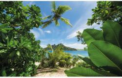 Komar Vlies fotótapéta Cast Away Jungle 450 cm x 280 cm