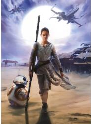 Komar fotótapéta STAR WARS Rey 184 cm x 254 cm FSC