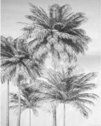 Komar vlies fotótapéta Cocco 200 cm x 250 cm