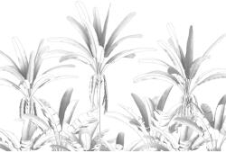 Komar vlies fotótapéta Musa 400 cm x 280 cm