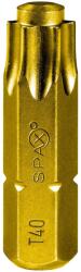 SPAX Bits T 40 1 db