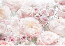 Komar fotótapéta Spring Roses 368 cm x 254 cm