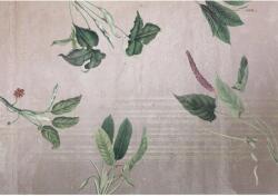 Komar vlies fotótapéta Tropic Concrete 400 cm x 280 cm