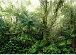 Komar vlies fotótapéta Mindfulness 350 cm x 250 cm