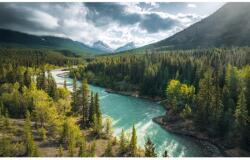 Komar Vlies fotótapéta Wild Canada 450 cm x 280 cm