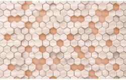 Komar vlies fotótapéta Woodcomb Nude 400 cm x 250 cm