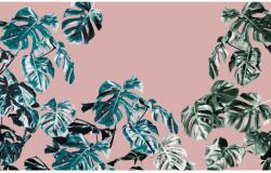 Komar vlies fotótapéta Monstera Rosé 400 cm x 250 cm