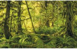 Komar nemszőtt fotótapéta Ancient World 400 cm x 250 cm