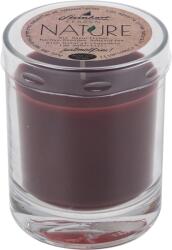 Steinhart Nature gyertya üvegben 79 mm x 65 mm óvörös