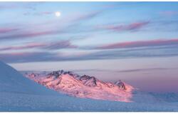 Komar Vlies fotótapéta Purple Dinner 450 cm x 280 cm