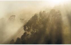 Komar vlies fotótapéta Misty Mountain 400 cm x 250 cm