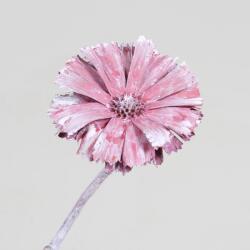  Protea Repens Erica Frosted dekor növény Piros