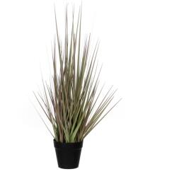 Mica Decorations Műnövény fű ibolya cserépátmérő 10 cm magasság 53 cm átmérő 30 cm (1005554)