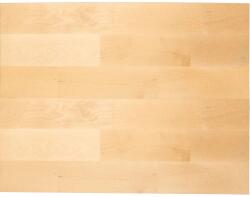  Tömörfa lap 240 cm x 60 cm x 1, 8 cm bükk FSC (4220000900000)