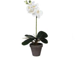 Mica Decorations lepkeorchidea művirág cserépben 13 cm átmérő x 48 cm fehér