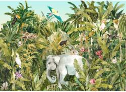 Komar nemszőtt fotótapéta Jungle Expedition 350 cm x 250 cm