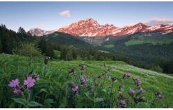 Komar Vlies fotótapéta Picturesque Switzerland 450 cm x 280 cm