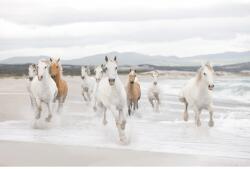 Komar fotótapéta White Horses 368 cm x 254 cm FSC