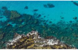 Komar Vlies fotótapéta Bright Blue 450 cm x 280 cm