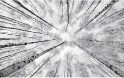 Komar Vlies fotótapéta Weiss-Blau 450 cm x 280 cm