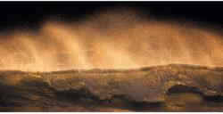 Komar vlies fotótapéta Golden Wave 200 cm x 100 cm