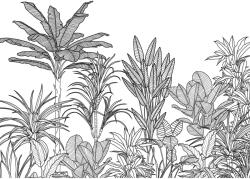 Komar vlies fotótapéta Savanna 350 cm x 250 cm