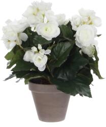 Mica Decorations Műnövény begónia fehér cserépátmérő 11, 5 cm magasság 30 cm átmérő 25 cm (977508)