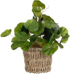Mica Decorations pilea művirág kosárban 12 cm átmérő x 33 cm