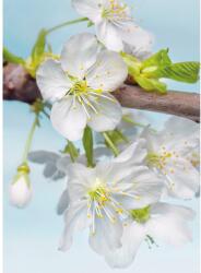 Komar nemszőtt fotótapéta Blossom 184 cm x 248 cm FSC