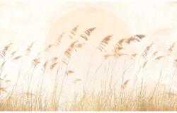 Komar vlies fotótapéta Dune Grass 400 cm x 250 cm
