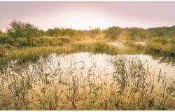 Komar vlies fotótapéta Morning View II 400 cm x 250 cm