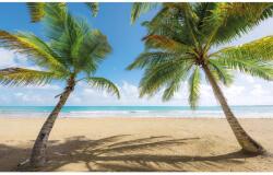 Komar Vlies fotótapéta Caribbean Days II 450 cm x 280 cm