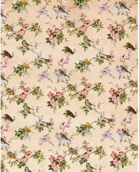 Komar vlies fotótapéta Concert de Demain 200 cm x 250 cm