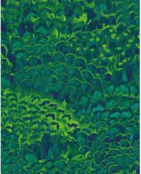 Komar vlies fotótapéta Feathers 200 cm x 250 cm