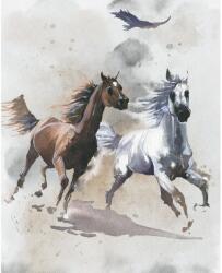 Komar vlies fotótapéta Wild Ride 200 cm x 250 cm