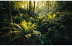 Komar Vlies fotótapéta Fjordland Woods 450 cm x 280 cm