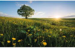 Komar Vlies fotótapéta Frühling auf dem Land 450 cm x 280 cm