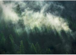 Komar vlies fotótapéta Misty Crowns 350 cm x 250 cm