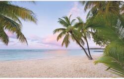 Komar vlies fotótapéta Paradise Morning 400 cm x 250 cm