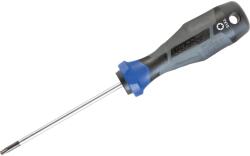 LUX-TOOLS LUX Professional csavarhúzó TX15 x 100 mm