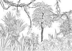 Komar nemszőtt fotótapéta Blanca 400 cm x 280 cm